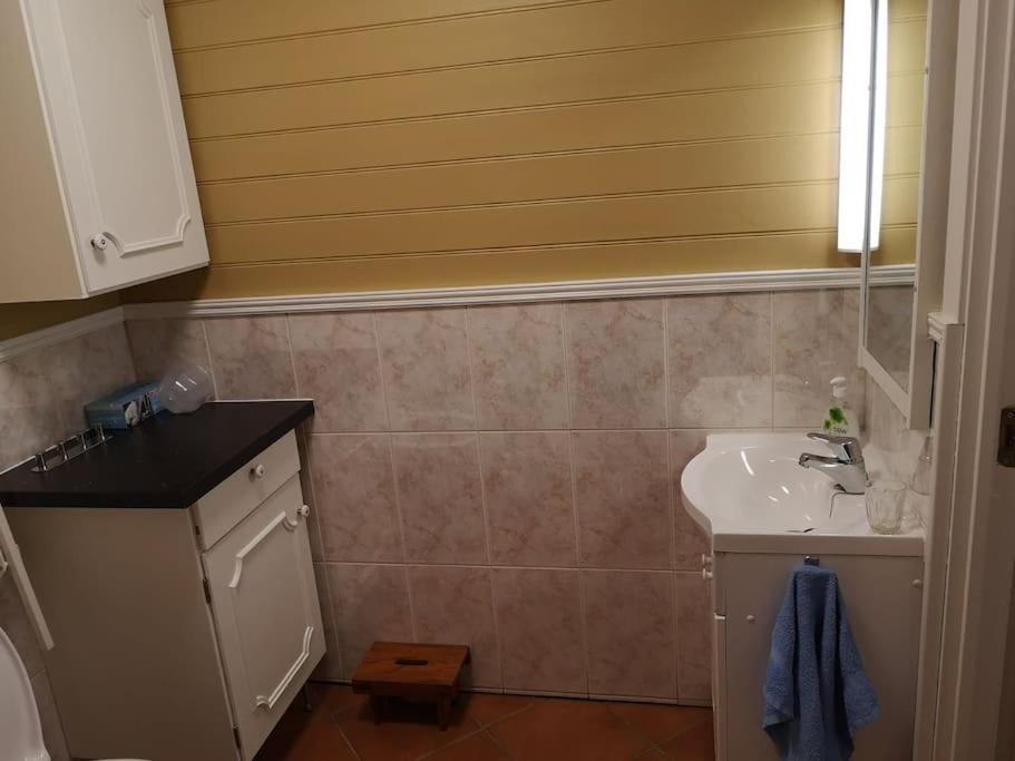 Appartement Nyoppusset Leilighet. Dusj Med Steambad.