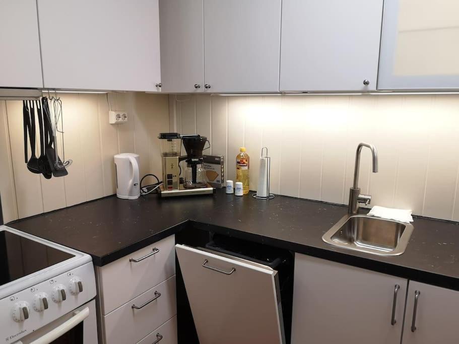 Nyoppusset Leilighet. Dusj Med Steambad. Appartement Aheim