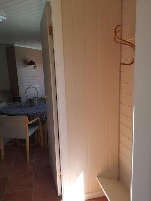 Nyoppusset Leilighet. Dusj Med Steambad. *