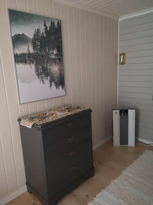 Nyoppusset Leilighet. Dusj Med Steambad. * Aheim